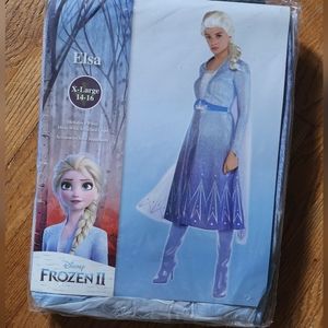 Adult Act 2 Elsa Costume - Frozen 2